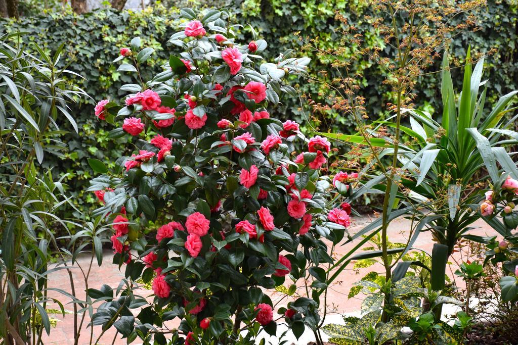 B&B Leonardo Rho Exterior foto